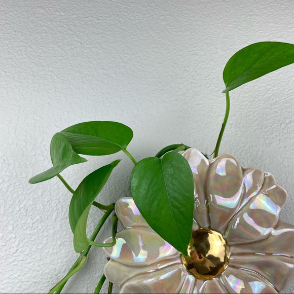 VTG Ceramic Pink Gold Glossy Flower Hanging Wall Pocket Plant Propagation Statio - Picture 3 of 16